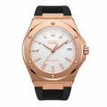 VALTOR ROSE CHAMPAGNE RUBBER