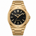 VALTOR BLACK GOLD